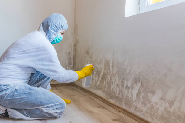 Mold Remediation specialist working in DuPont