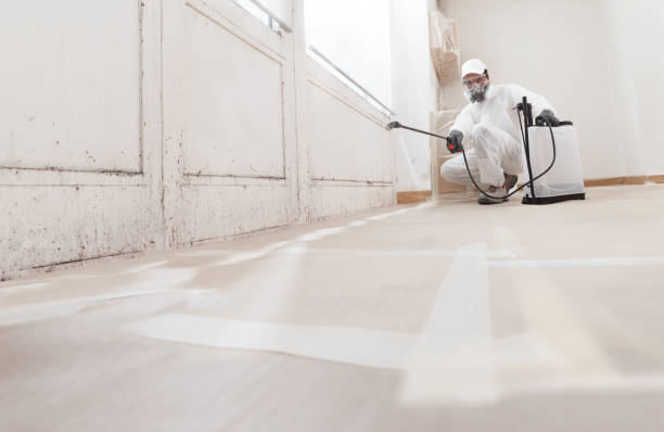 Black mold remediation team in DuPont