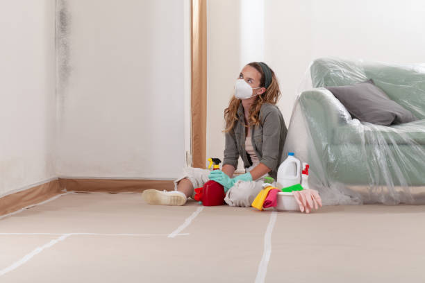 Mold Remediation service in DuPont, DuPont, WA